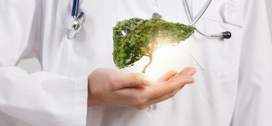 GGTP - norma, wskazania do badania