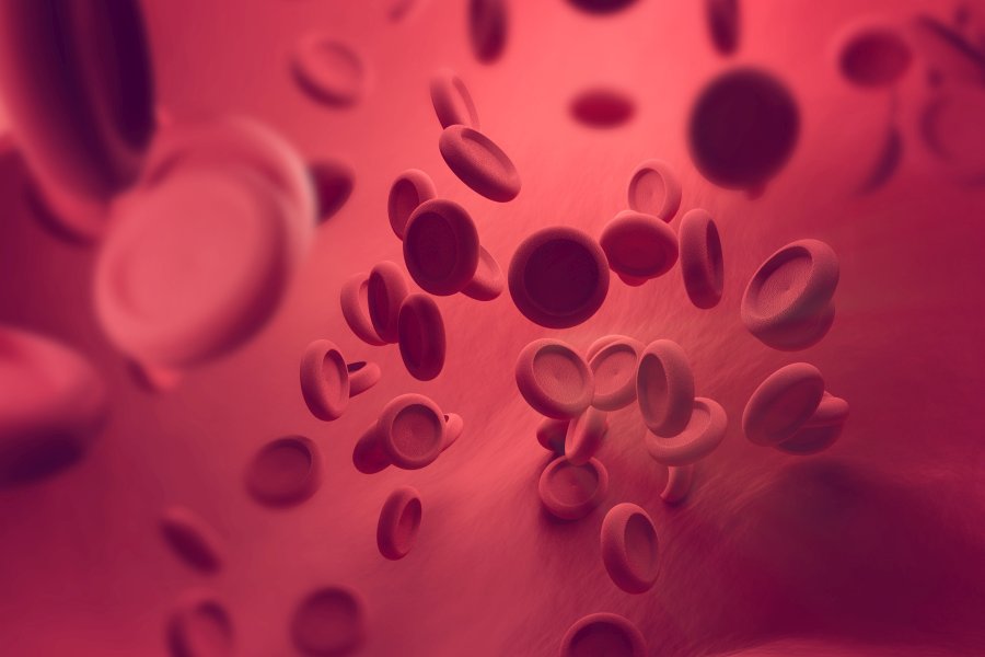 PDW - norma, podwyższone i obniżone PDW