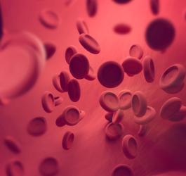 PDW - norma, podwyższone i obniżone PDW