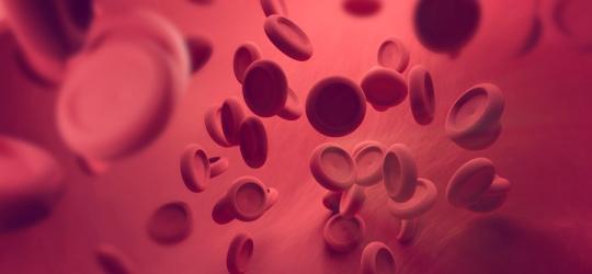 PDW - norma, podwyższone i obniżone PDW