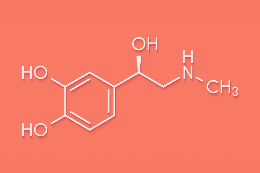 Wzór chemiczny adrenaliny.