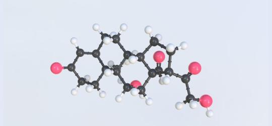 Model cząsteczki aldosteronu.