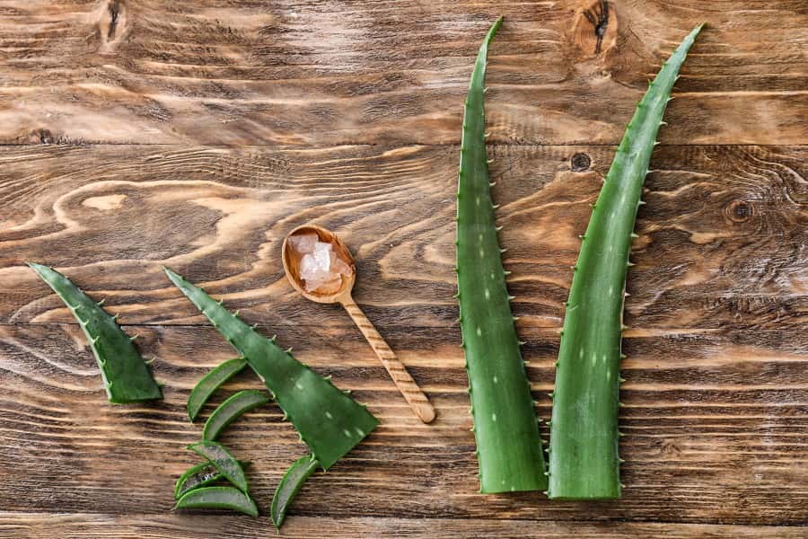 Liście aloesu - pokrojone i w całości oraz łyżeczka z pokrojonym w kostkę miąższem aloesu.