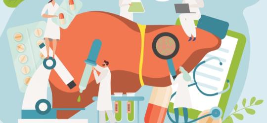 Grafika 2D. rysunkowi lekarze diagnozują i leczą chorą wątrobę.