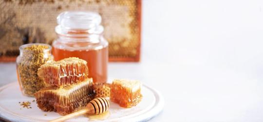 Różne produkty pszczele (miód, plaster miodu, pyłek) stosowane w apiterapii.