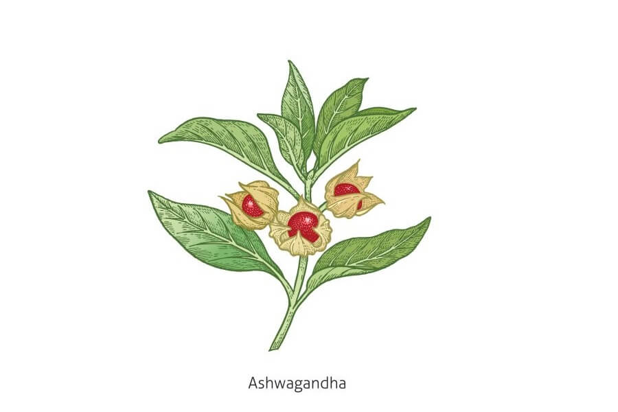 ashwaganda