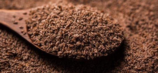 Nasiona babki płesznik nabierane drewnianą łyżką.