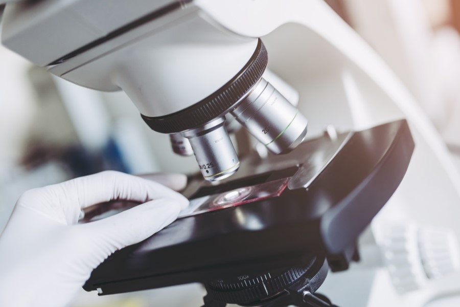 Mikroskop wykorzystywany do badania histopatologicznego.