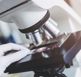 Mikroskop wykorzystywany do badania histopatologicznego.