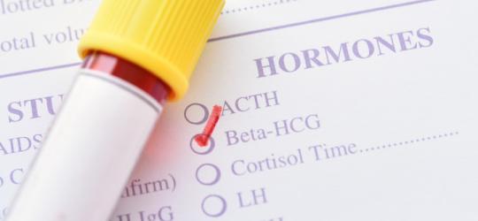 Próbka krwi przeznaczona do oznaczenia stężenia hormonu beta hCG.