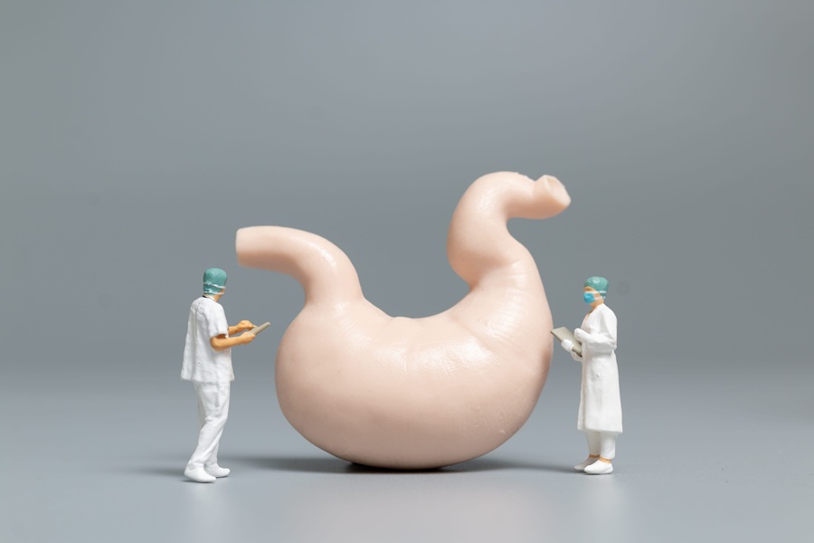 Miniaturowi lekarze badają model żołądka na obecność bezoaru.