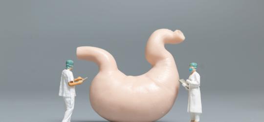 Miniaturowi lekarze badają model żołądka na obecność bezoaru.
