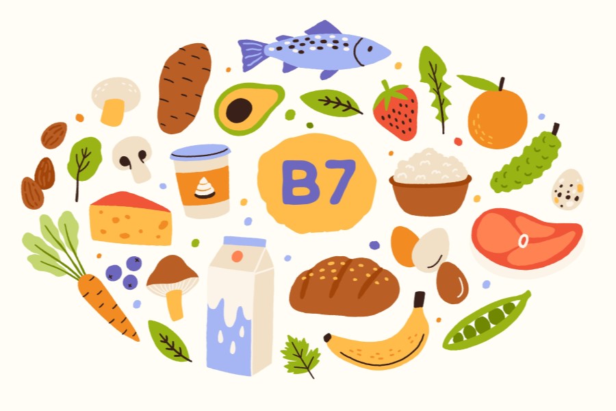 Rysunkowe produkty spożywcze, które są źródłem witaminy B7, czyli biotyny.