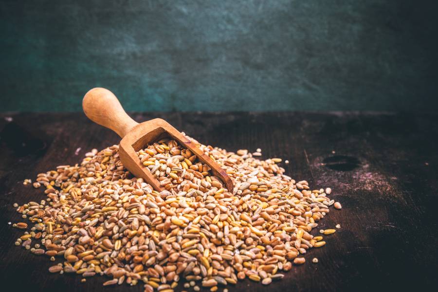 Błonnik – w czym jest i dlaczego go potrzebujesz?