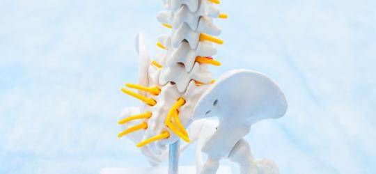 Ból kości ogonowej