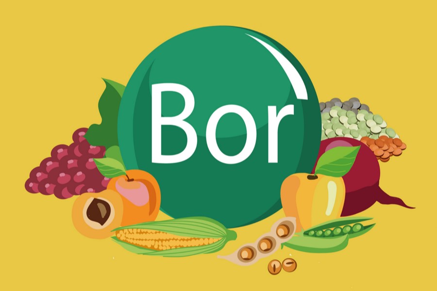 Symboliczne przedstawienie produktów bogatych w bor.