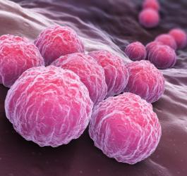 Chlamydia - objawy, rodzaje i sposoby leczenia