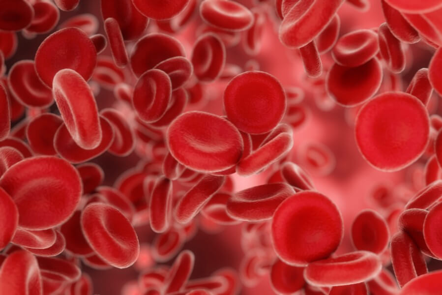 Czerwone krwinki w krwiobiegu.