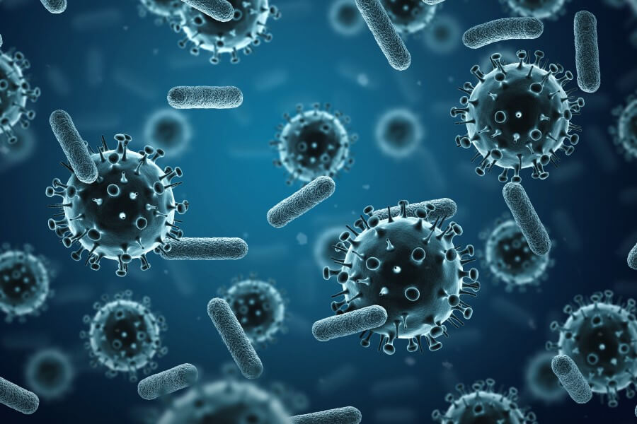 Modele 3D wirusów i bakterii.