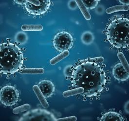 Modele 3D wirusów i bakterii.