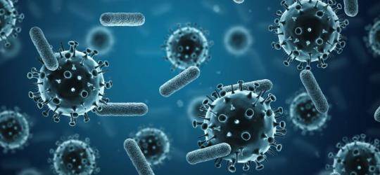 Modele 3D wirusów i bakterii.