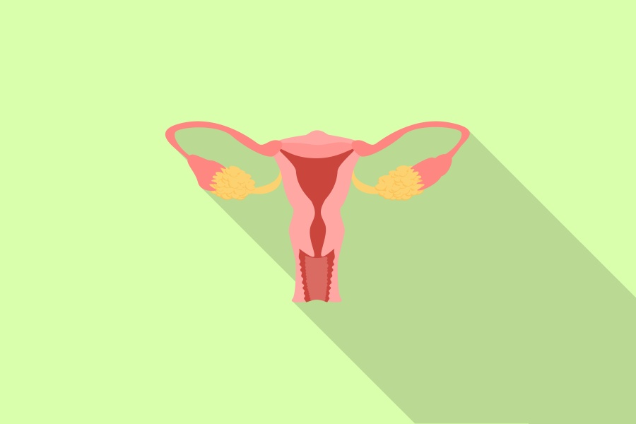 Co to jest endometrium?