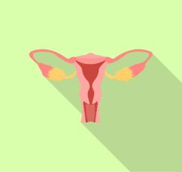 Co to jest endometrium?