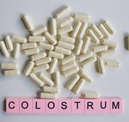 colostrum lbk head