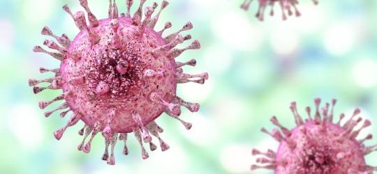 Cytomegalia - jak się objawia?