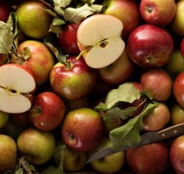 Czy można jeść jabłka, chorując na cukrzycę?