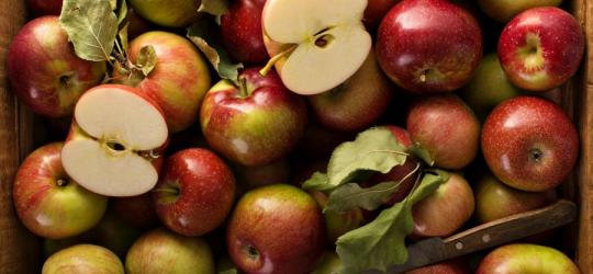 Czy można jeść jabłka, chorując na cukrzycę?