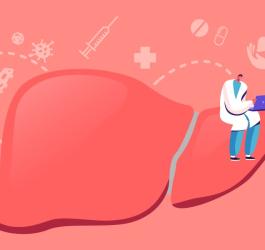 Rysunkowy model wątroby, na której siedzi diagnozujący ją lekarz.