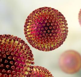 Czym są rotawirusy?