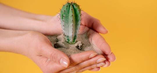 Domowe sposoby na kurzajki