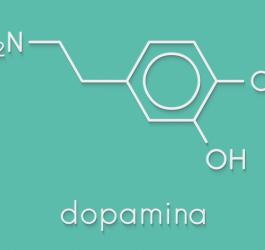 Dopamina – funkcja w organizmie