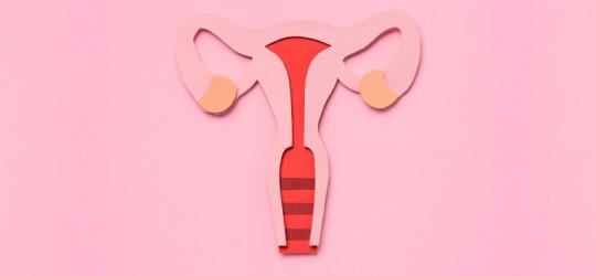Endometrioza – źródło bólu i przyczyna niepłodności