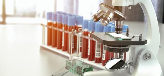 Eozynofile - normy morfologii krwi