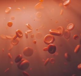 Erytrocyty (czerwone krwinki) - jaka jest ich prawidłowa ilość?