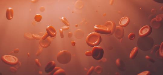 Erytrocyty (czerwone krwinki) - jaka jest ich prawidłowa ilość?