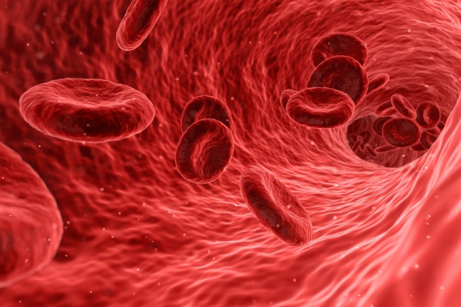 Ferrytyna - normy i znaczenie dla zdrowia