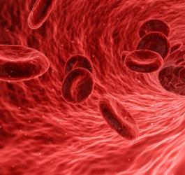 Ferrytyna - normy i znaczenie dla zdrowia