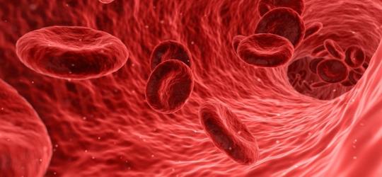 Ferrytyna - normy i znaczenie dla zdrowia