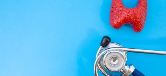 Niebieskie tło, na nim lekarski stetoskop i model tarczycy.