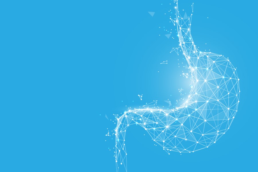 Punktowy model 3D ludzkiego żołądka.