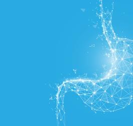 Punktowy model 3D ludzkiego żołądka.