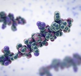 Model 3D cząsteczki glukagonu.