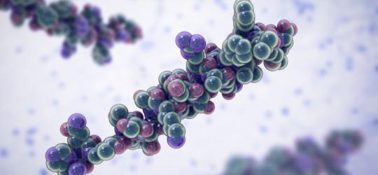 Model 3D cząsteczki glukagonu.