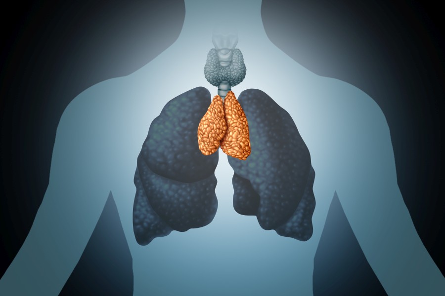 Grasica − funkcje i choroby