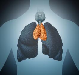 Grasica − funkcje i choroby