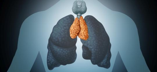 Grasica − funkcje i choroby